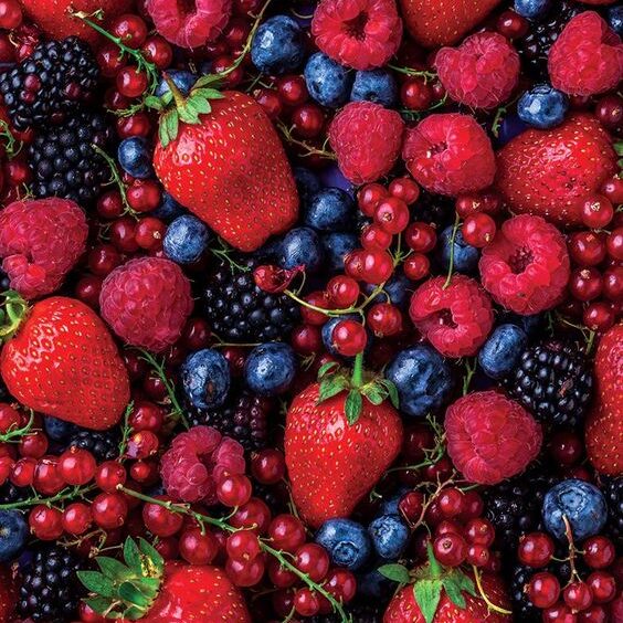 Colorful Berries nutrient rich foods