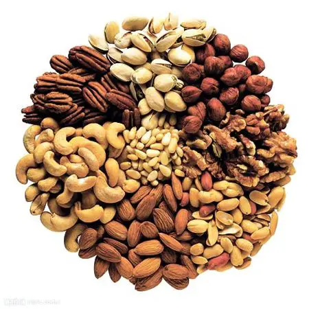 Nuts and Seeds nutrient rich foods