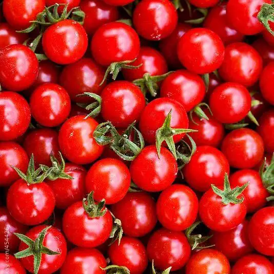 Tomatoes nutrient rich foods