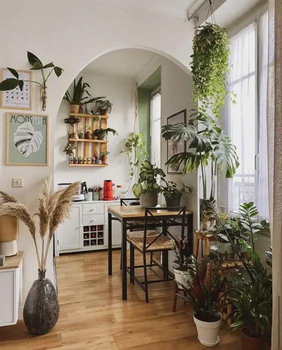 Indoor Plants and Greenery