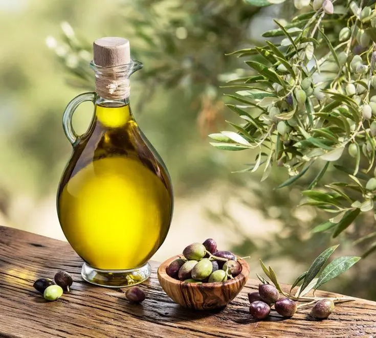 Olive Oil for Repairing Damaged Hair