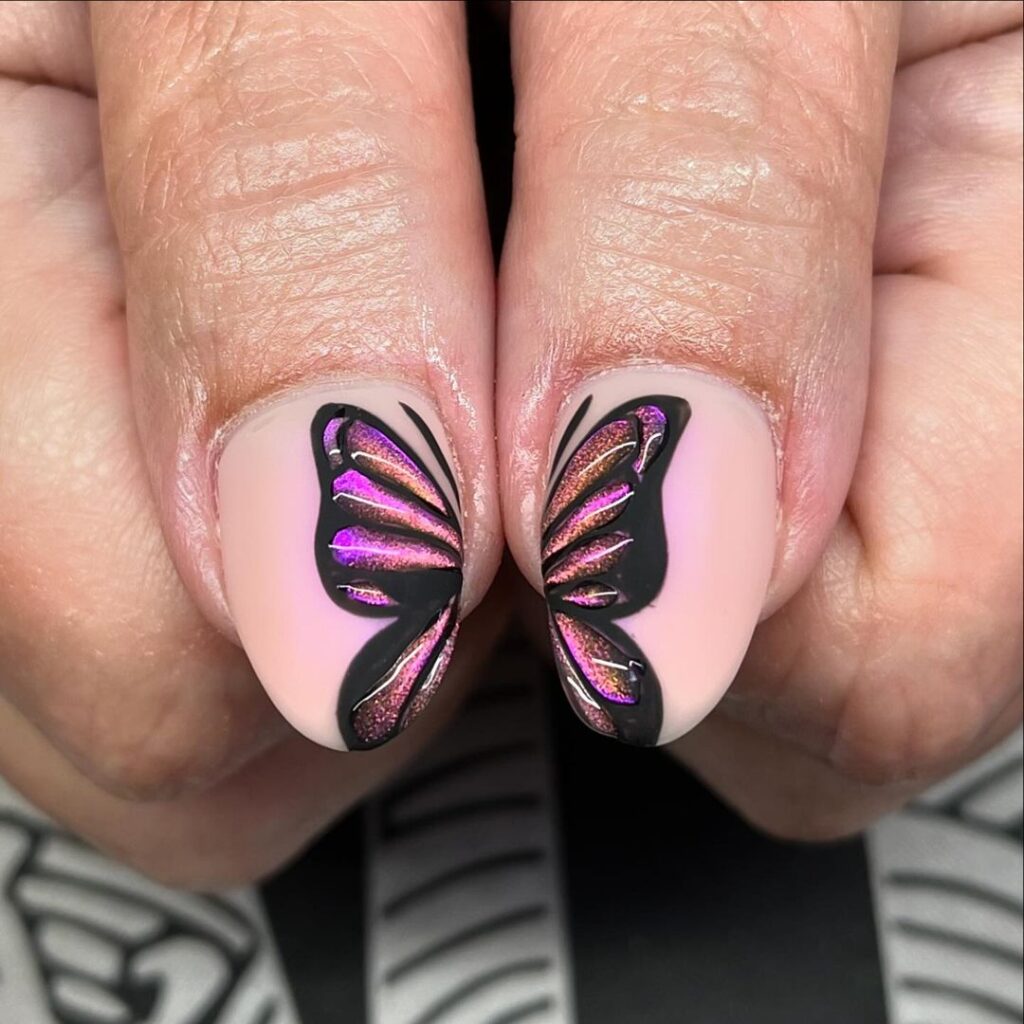 Tropical butterfly