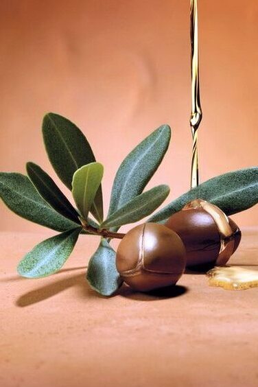 Argan Oil for Repairing Damaged Hair