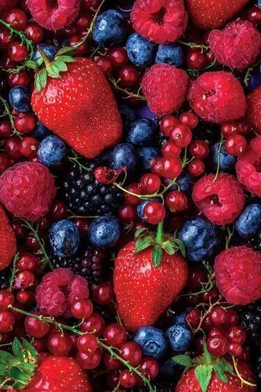 Colorful Berries nutrient rich foods