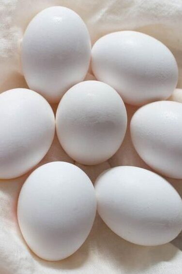 Eggs nutrient rich food