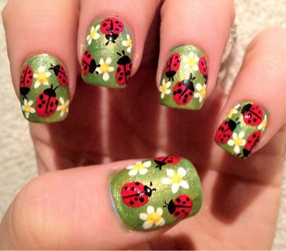 Ladybugs and Daisies