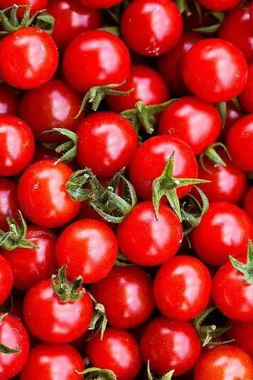 Tomatoes nutrient rich foods